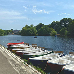 DIY Tie Dye socks in green, orange and black